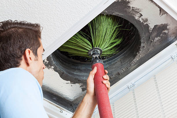 Best Air Duct Sanitizing Services  in Port Norris, NJ